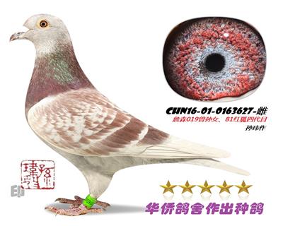 ղɭ���019����Ů