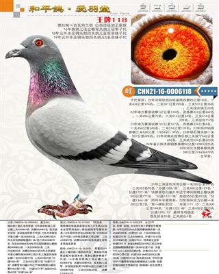 ������118������ֱŮ