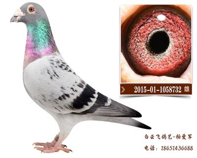 ���Լ���