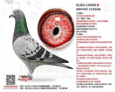 �����ۺ�ĸ�ס�������������