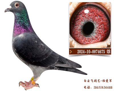 ը������9��