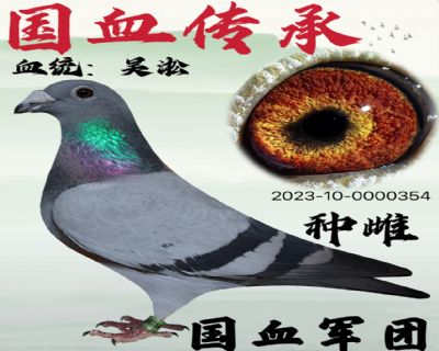 �����ִ�