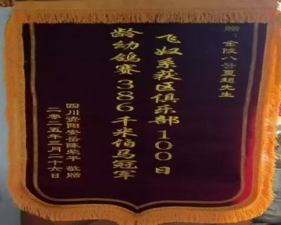 �Ĵ�����ƽ2025���Ĵ��ʡ������ھ���