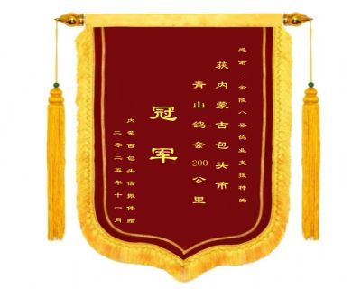 ���ɹ�����ΰ2025���ͷ��ɽ���ھ�