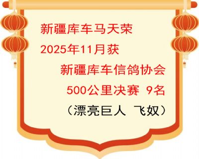 �½�������2025��⳵500����9��