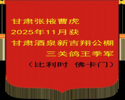 ����ܻ�2025���Ȫ�������ظ�������