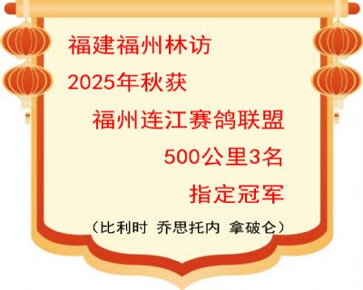 �����ַ�2025�긣��500����ָ���ھ�