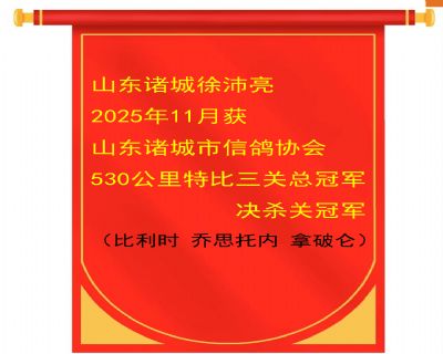 ɽ��������2025�����530�����ܹھ�