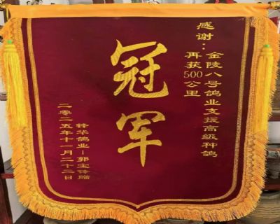 ���������2025������500����ھ�