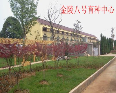 ��ղɭ���˹С�������������ΰ25��ھ�