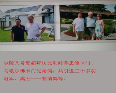 �����ţ�����ܻ�2025�꼾��