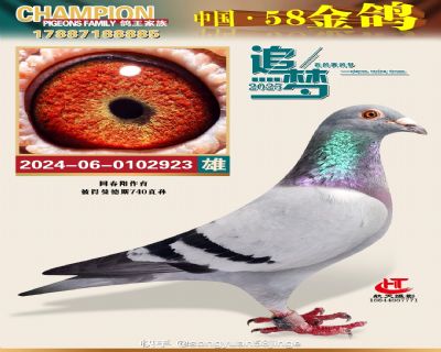 �˵�����˹740֮��