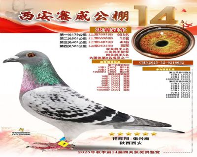 �����ھ�