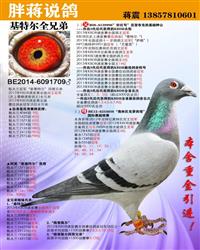 ���游