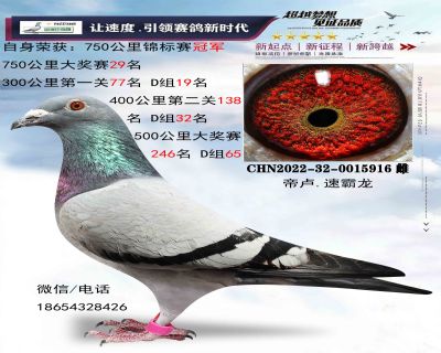 ��¬�ٰ���