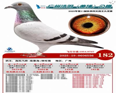 ���ݺ���