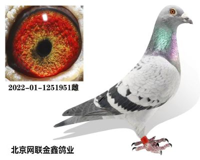 ����003 500�������5��