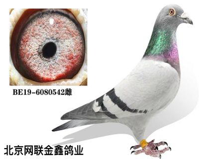 ���ǲ��� ���ض� �ִ�