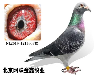 ���� ����