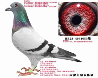 ��������Ŭ 053