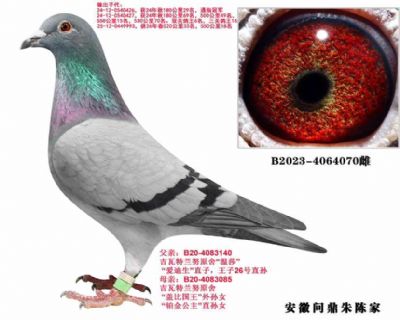 ��������Ŭ 070