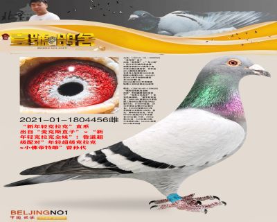 ����Ҽ�Ÿ���