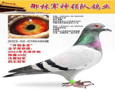 ���־���ҵ ����