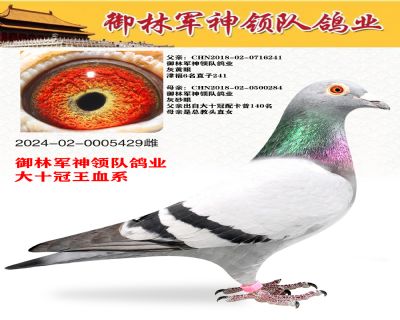 ������־���ҵ