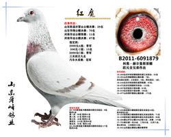 ��ħ����֮��