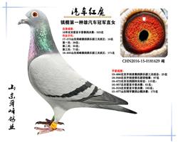 ��ħ����֮ĸ