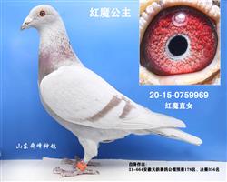 ��ħ������֮ĸ