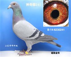 ����С��֮ĸ