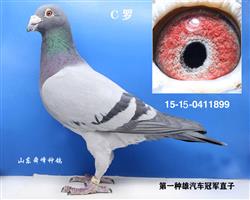 ����C��֮��