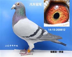 ����612֮��