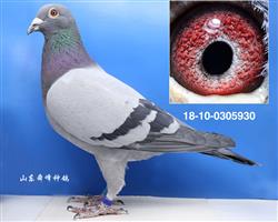 ������֮��