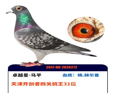 ��򿪴����Ĺظ���31λ