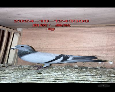 �����ִ�