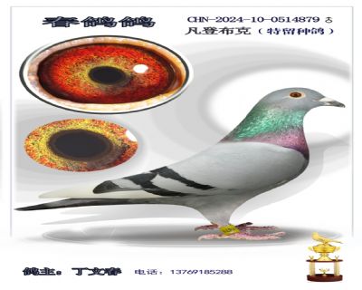 ���ض�������