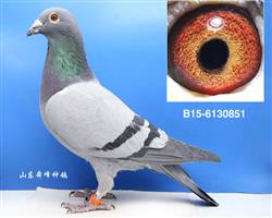 ĸ��
