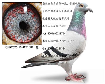 ����ɣ��ʿ�����ִ�