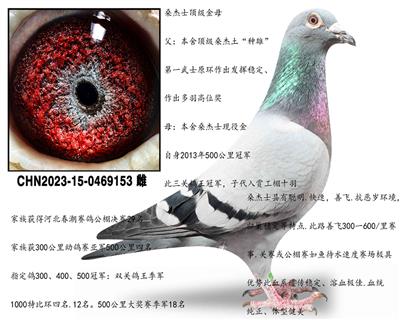 ɣ��ʿ������ĸ