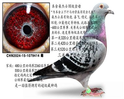 ɣ��ʿ������ĸ