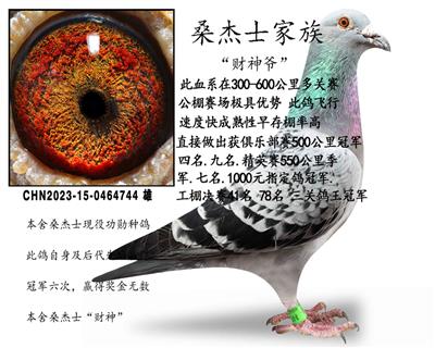 ɣ��ʿ���塰����ү��