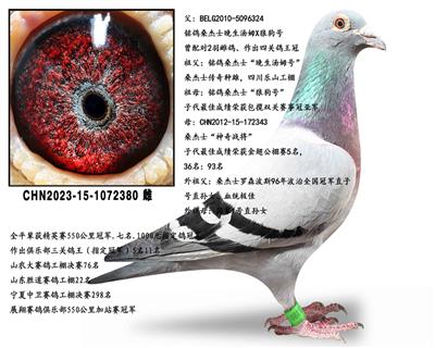 ɣ��ʿ�����ִ�