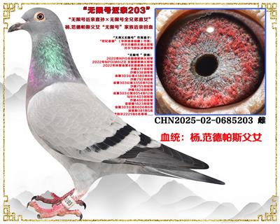 ���Ⱦ�����...