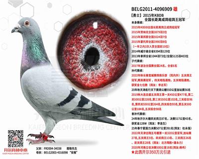 ����ʿ��KBDBȫ��������ɸ�����ھ�