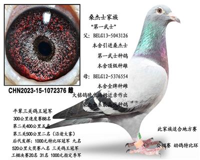 ɣ��ʿ��ʯ�ִ�