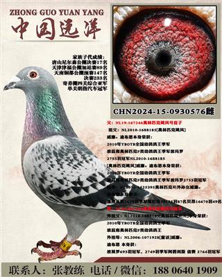 ����ƥ��쫷��ֱ��x����ƥ��쫷��ֱŮ
