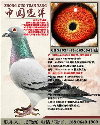 ���ض�ֱ��x���ض�ֱŮ