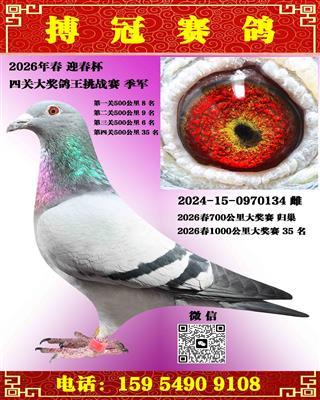 �Ĺظ�������